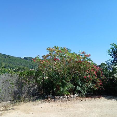 Chalet Charmant Avec Piscine Mercuer Εξωτερικό φωτογραφία