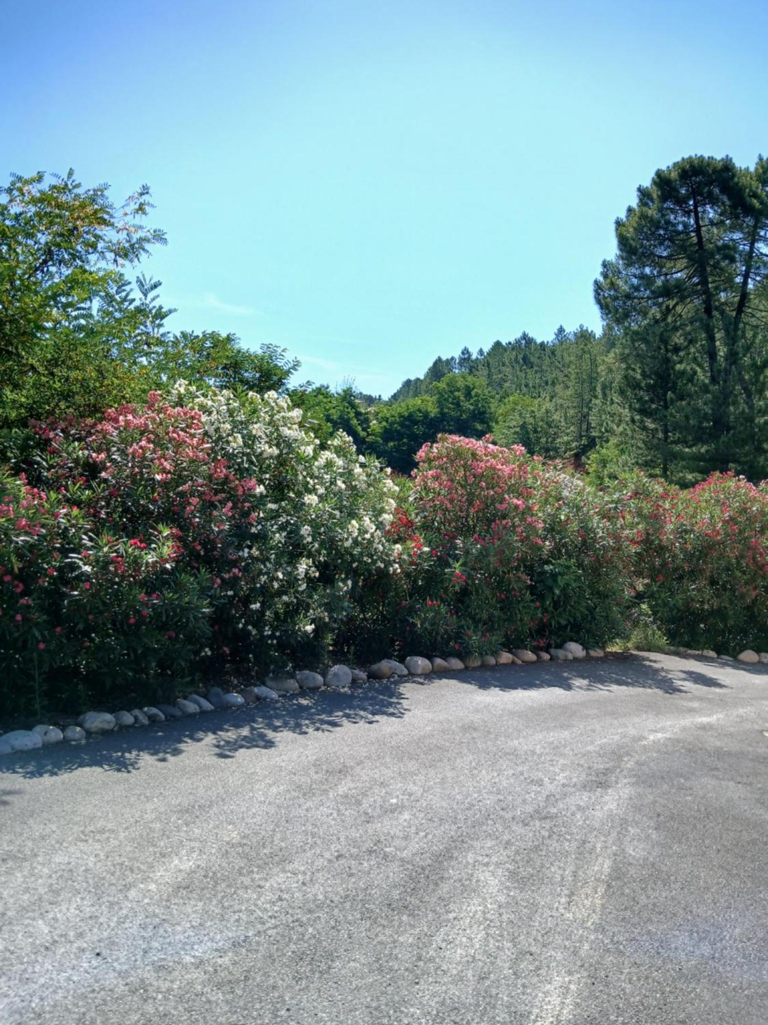 Chalet Charmant Avec Piscine Mercuer Εξωτερικό φωτογραφία