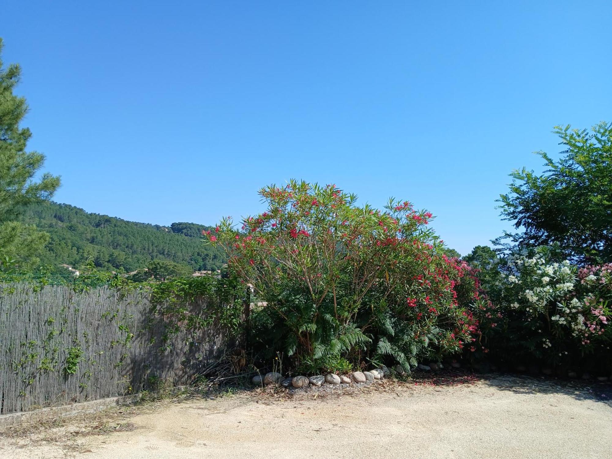 Chalet Charmant Avec Piscine Mercuer Εξωτερικό φωτογραφία